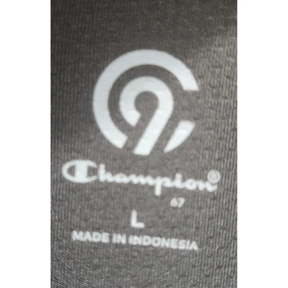 Champion Mens Athletic T Shirt Dark Gray Crew Neck Gym‎ Workout Size L - Picture 3 of 6